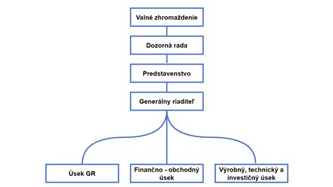 Štruktúra obchodnej spoločnosti a jej orgány