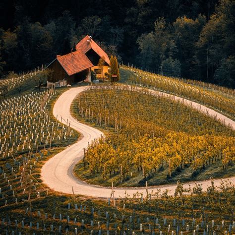 Schéma štruktúry doktorandských študijných programov na Filozofickej fakulte PU