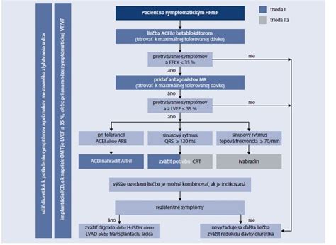 Schéma srdcového zlyhávania