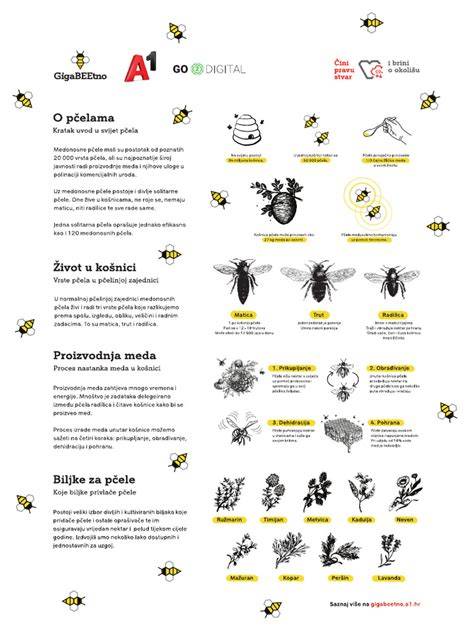 Infografika o polygrafickom priemysle