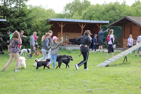 Pes v kynologickom salóne