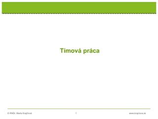 Tímová práca na projekte