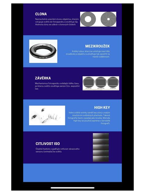 Infografika: Štruktúra bakalárskeho štúdia