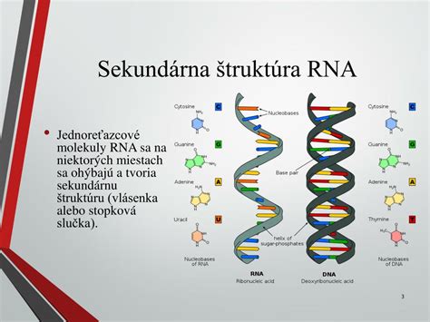 Vizualizácia štruktúry rigoróznej skúšky