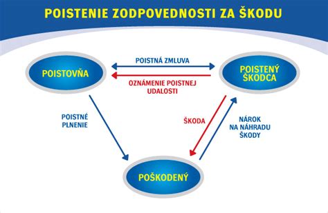 Grafika znázorňujúca jednotlivé typy poistenia a ich platiteľov