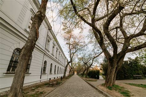 Adalbertínum v Trnave