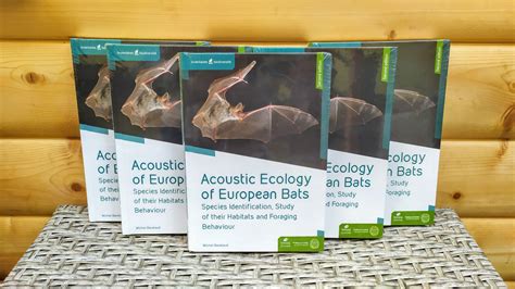 Obaly kníh a zborníkov zameraných na jazykovú kultúru a médiá