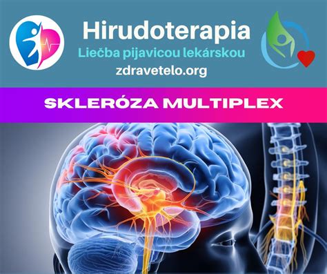 Vývoj mozgu a nervového systému