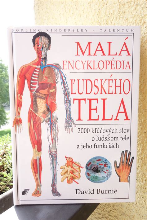 štruktúra ľudského tela