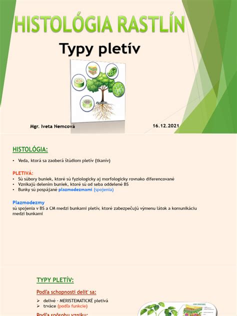 Ilustrácia výskumu rastlinných génov