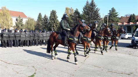 výzbroj policajného zboru