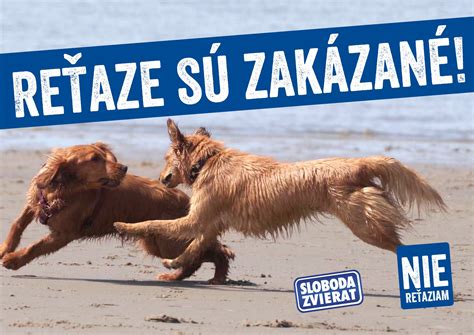 Infografika o welfare zvierat