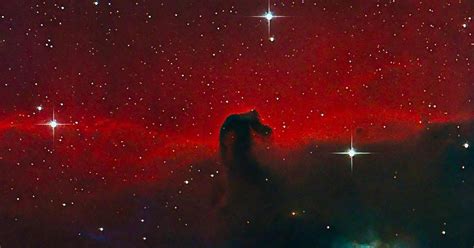 Symbolický obraz topoľov