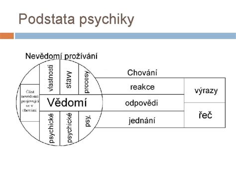 Štruktúra ľudskej psychiky
