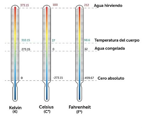 Infografika o rôznych typoch vtákov a ich charakteristikách