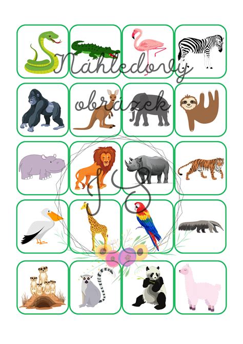 Obrázok znázorňujúci pexeso so slovíčkami o vtákoch