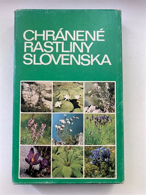 Ilustrácia knihy a rastúcej rastliny symbolizujúca rast vedomostí