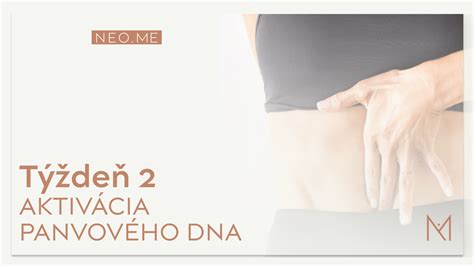 Schematické znázornenie svalov panvového dna