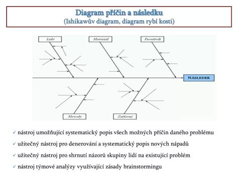 Ishikawov diagram (diagram rybej kosti)