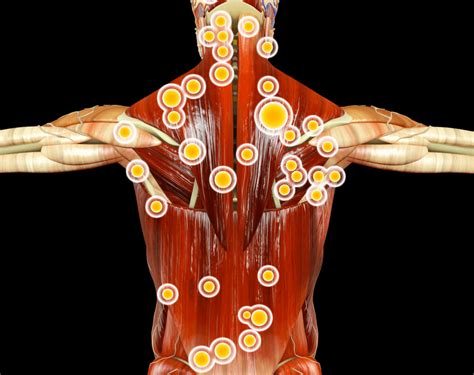 Ilustrácia štruktúry prijímacej skúšky