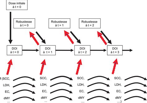 Schéma fungovania DOI