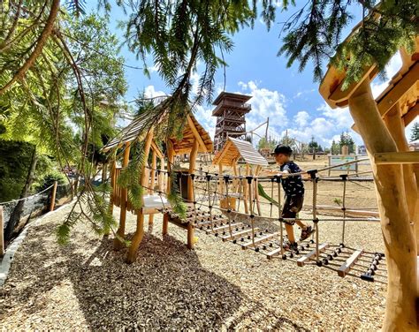 Ilustrácia lesa s deťmi