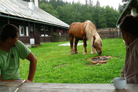 História vzniku Katedry ekológie a environmentalistiky