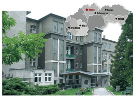 štruktúra lekárskej fakulty