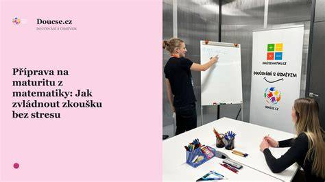 Ilustrácia stresu a prípravy na maturitu