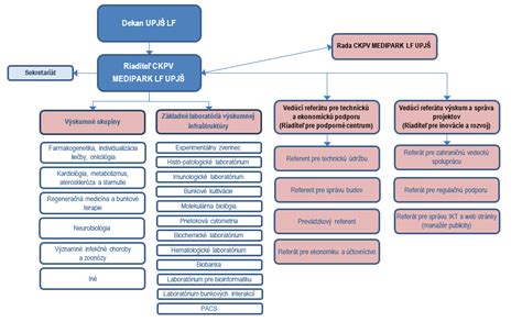 Štruktúra štipendií na univerzite
