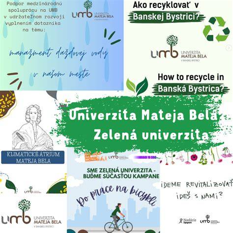 História Univerzity Mateja Bela