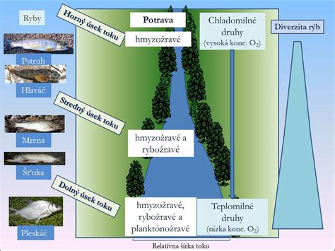 Infografika porovnávajúca rôzne typy vysokých škôl a ich nároky