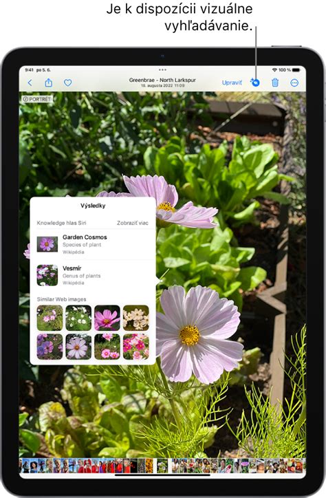 Screenshot rozhrania digitálnej knižnice eStudy zobrazujúci funkcie ako vyhľadávanie, poznámky a podčiarkovanie