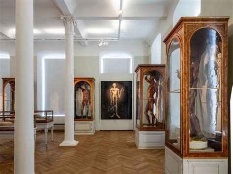 Múzeum MedUni Wien - Josephinum