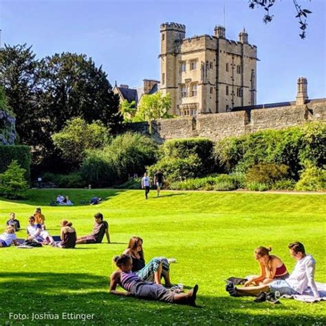 Ilustrácia procesu prihlasovania na štúdium v zahraničí